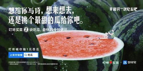 夏日吃瓜的文案,瓜果飘香——尽享清凉美味时光  第1张