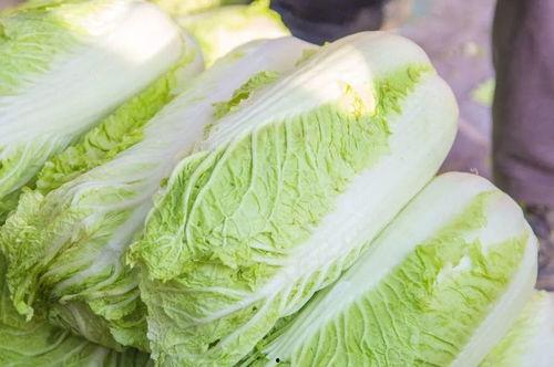 长垣吃大瓜,探寻“吃大瓜”的独特魅力 第2张 长垣吃大瓜,探寻“吃大瓜”的独特魅力 第2张