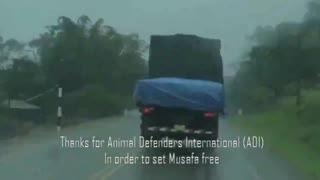 各类吃瓜视频合集,盘点那些让人笑到肚子疼的吃瓜视频合集 第2张 各类吃瓜视频合集,盘点那些让人笑到肚子疼的吃瓜视频合集 第2张