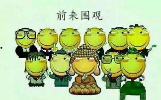 吃瓜的俚语 第2张 吃瓜的俚语 第2张