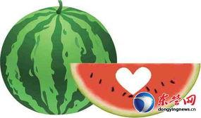 吃瓜爱心,揭秘娱乐圈甜蜜背后的故事 第1张 吃瓜爱心,揭秘娱乐圈甜蜜背后的故事 第1张