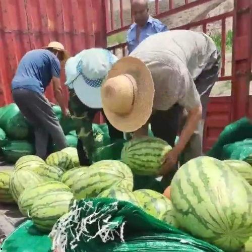 吃瓜爱心,揭秘娱乐圈甜蜜背后的故事 第3张 吃瓜爱心,揭秘娱乐圈甜蜜背后的故事 第3张