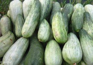 吃瓜吃到粉丝,一场奇妙的美食之旅 第1张 吃瓜吃到粉丝,一场奇妙的美食之旅 第1张