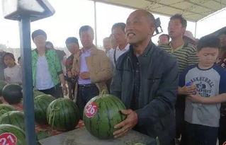 灌南吃瓜群众,揭秘当地热点事件背后的真相 第2张 灌南吃瓜群众,揭秘当地热点事件背后的真相 第2张