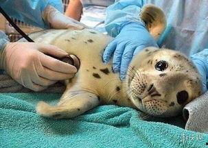 吃瓜的杰瑞 第3张 吃瓜的杰瑞 第3张