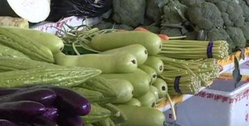 瓜不苦怎么吃,轻松解锁美味新体验 第3张 瓜不苦怎么吃,轻松解锁美味新体验 第3张