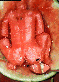 吃瓜女GIF,揭秘吃瓜女GIF背后的趣味瞬间 第3张 吃瓜女GIF,揭秘吃瓜女GIF背后的趣味瞬间 第3张