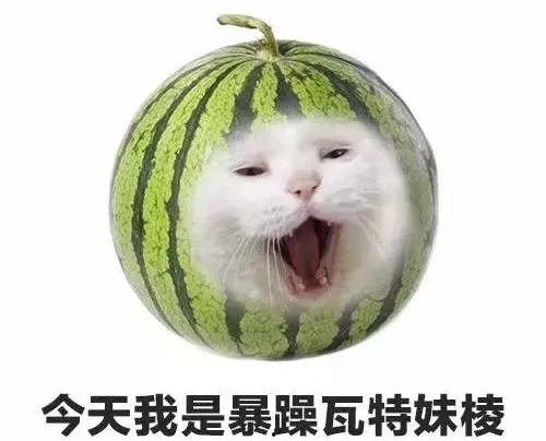 暴躁喵吃瓜,揭秘娱乐圈那些不为人知的幕后故事 第2张 暴躁喵吃瓜,揭秘娱乐圈那些不为人知的幕后故事 第2张