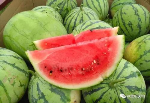 今日吃瓜热门大瓜51,揭秘51号大瓜背后的惊人真相 第2张 今日吃瓜热门大瓜51,揭秘51号大瓜背后的惊人真相 第2张