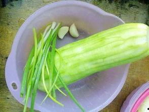 水瓜小孩可以吃不,营养健康两不误  第3张