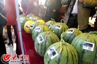 安迪南王吃瓜,瓜田里的传奇故事  第1张