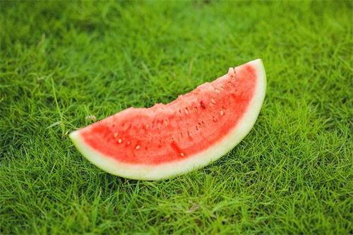 吃瓜后舌头难受,揭秘夏日消暑美食的副作用 第3张 吃瓜后舌头难受,揭秘夏日消暑美食的副作用 第3张