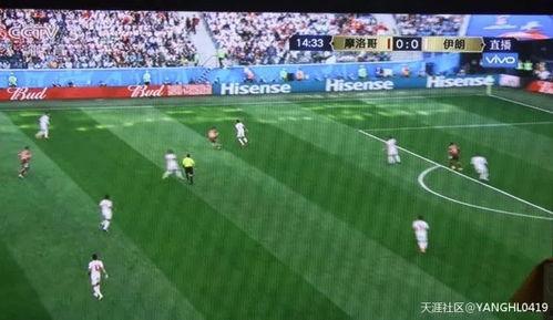 足球纪录吃瓜群众 第1张 足球纪录吃瓜群众 第1张