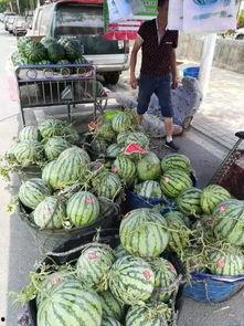 邢台任丘吃瓜事件,一场网络热议背后的真相揭秘 第1张 邢台任丘吃瓜事件,一场网络热议背后的真相揭秘 第1张