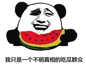 憨憨吃瓜群众 第1张 憨憨吃瓜群众 第1张