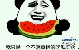 憨憨吃瓜群众 第2张 憨憨吃瓜群众 第2张