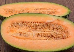 隔离吃哈密瓜 第3张 隔离吃哈密瓜 第3张