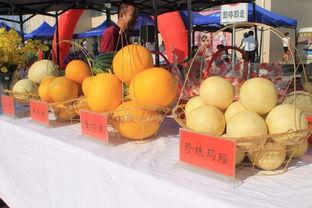 吃瓜王和瓜王一样吗,揭秘两者之间的异同 第2张 吃瓜王和瓜王一样吗,揭秘两者之间的异同 第2张