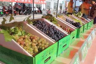 吃瓜王和瓜王一样吗,揭秘两者之间的异同 第3张 吃瓜王和瓜王一样吗,揭秘两者之间的异同 第3张