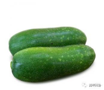 咳嗽瓜怎么吃,咳嗽瓜的多样食用方法与营养功效 第3张 咳嗽瓜怎么吃,咳嗽瓜的多样食用方法与营养功效 第3张