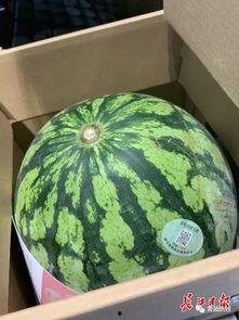 高级的吃瓜人,揭秘高级吃瓜者的智慧人生 第1张 高级的吃瓜人,揭秘高级吃瓜者的智慧人生 第1张