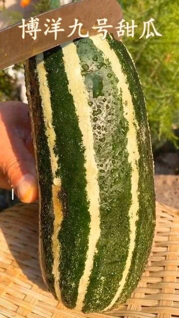 带你吃瓜吃到底,揭秘娱乐圈那些不为人知的幕后故事 第1张 带你吃瓜吃到底,揭秘娱乐圈那些不为人知的幕后故事 第1张