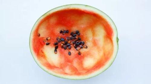 勺子吃老汉瓜视频,一场爆笑的乡村奇遇记 第2张 勺子吃老汉瓜视频,一场爆笑的乡村奇遇记 第2张