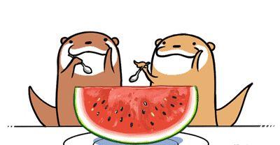 吃瓜不付费,揭秘娱乐圈幕后真相  第2张