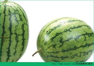 吃瓜过敏起红点  第3张