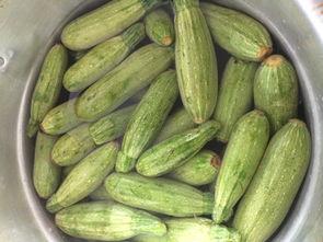 迷你小洞吃瓜  第3张